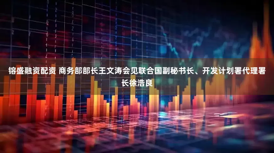 镕盛融资配资 商务部部长王文涛会见联合国副秘书长、开发计划署代理署长徐浩良